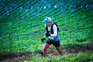 BIB: 
                            <button type="button" onclick="openModal(19160189)" class="btn btn-primary btn-sm float-right btn-popup" data-toggle="modal" data-target=".modal-high-quality">
                        <i class="fas fa-shopping-cart"></i> Add to Cart
                    </button>
                                            <button type="button" onclick="isThisMe(19160189, true)" class="btn btn-success btn-sm float-right btn-popup btn-isme hidden" data-toggle="tooltip" data-placement="bottom" title="นี่คือรูปของคุณใช่ไหม คลิกที่นี่เพื่อเอาเข้าอัลบั้ม">
                        <i class="fas fa-plus"></i> Add to album
                    </button>
                    <button type="button" onclick="isThisMe(19160189, false)" class="btn btn-warning btn-sm float-right btn-popup btn-isnotme hidden">
                        <i class="fas fa-ban"></i> Remove from album
                    </button>